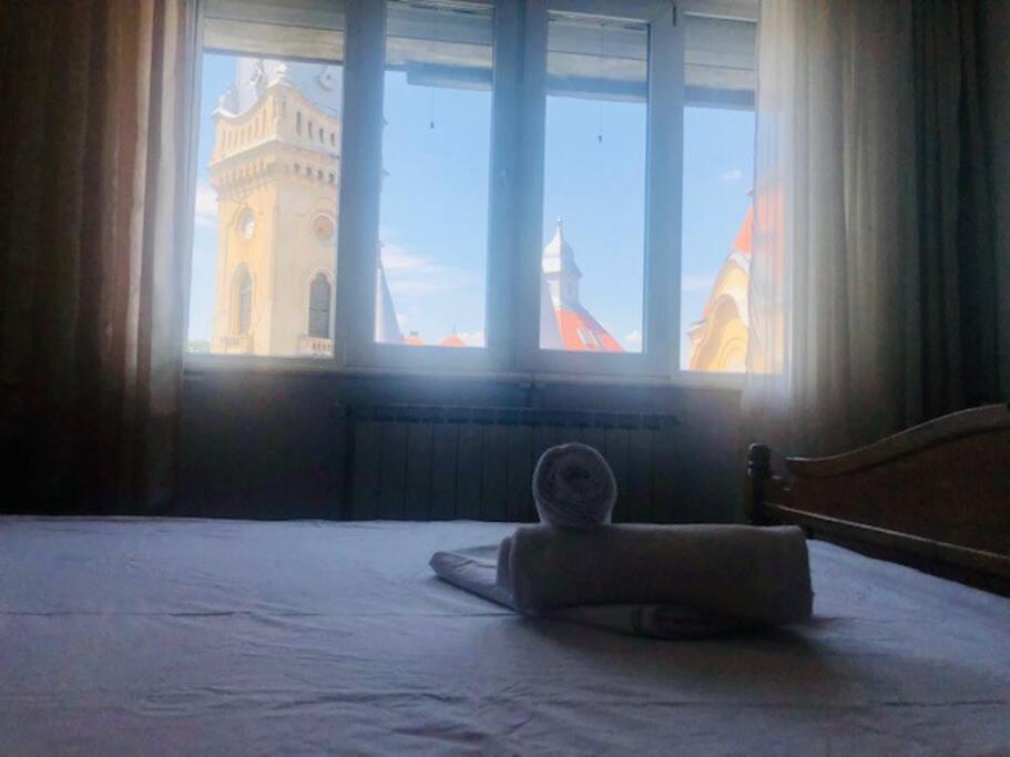 Joy City Stay Piatra Craiului 17 Тимишоара Екстериор снимка